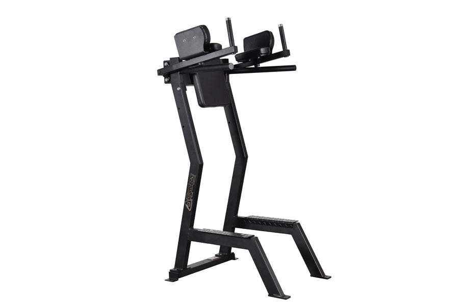 173 Gymleco Leg Lift with Dip Function Gymleco Netherlands